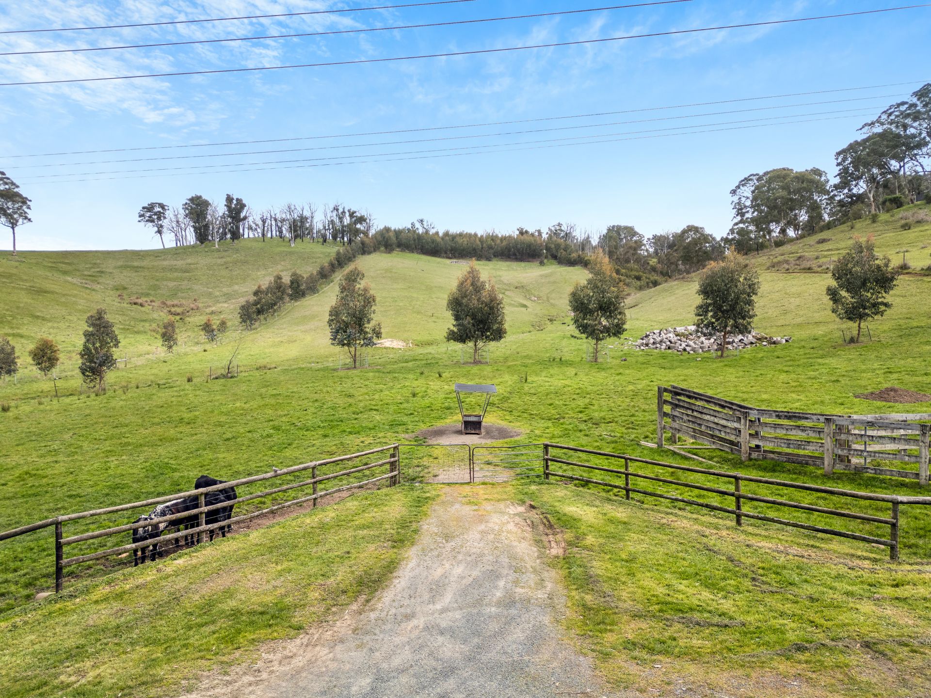 Lot 14 Neudorf Road Lobethal Adcock Real Estate