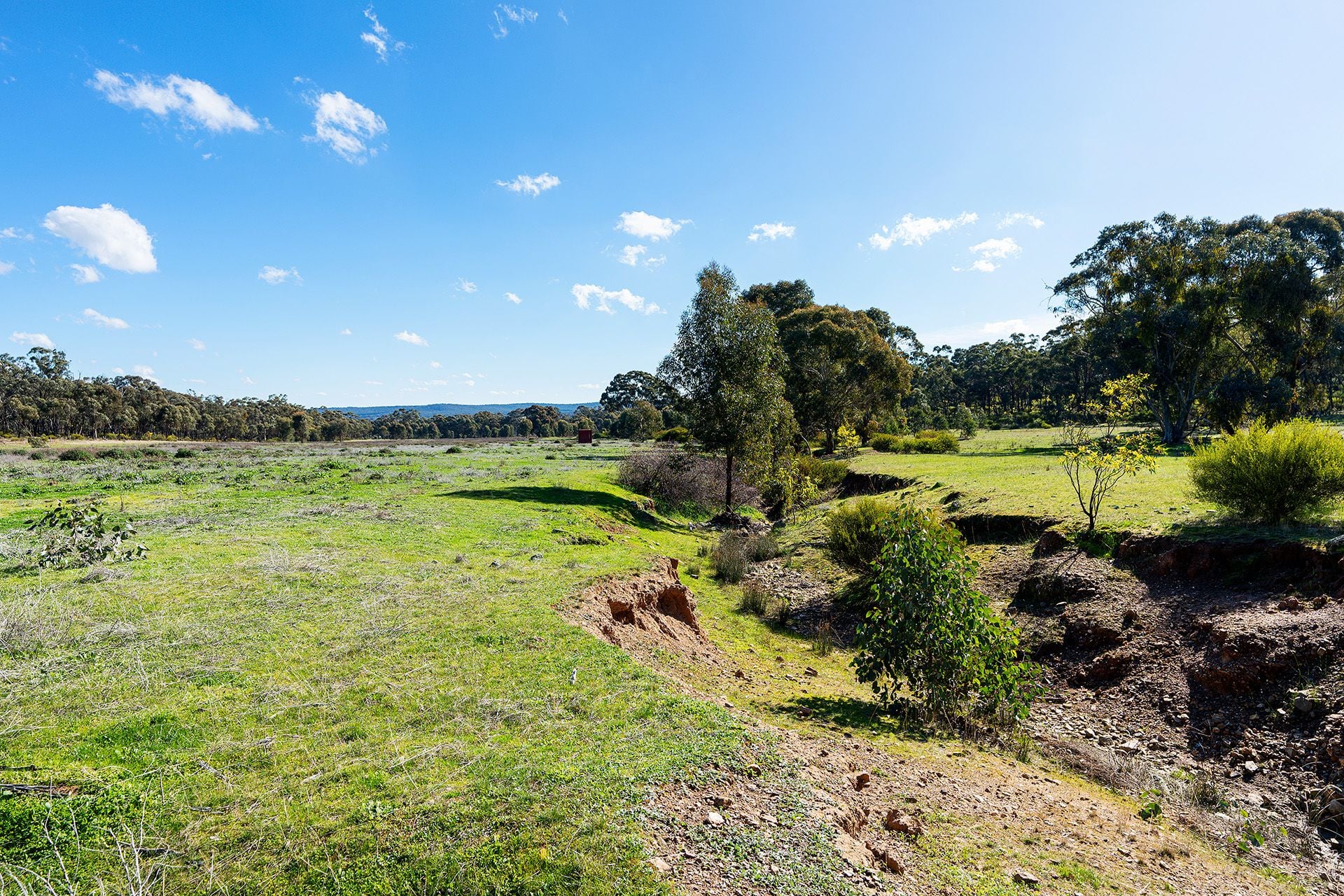 Lot 5, 58 Main Street Eldorado, Harcourt - Thumbnail 8