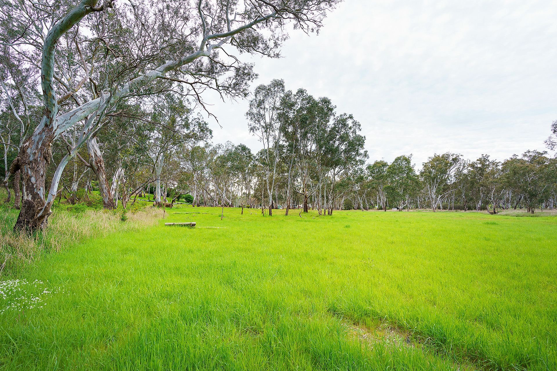 Lot 19/ Harrow-Casterton Road, Harrow VIC 3317