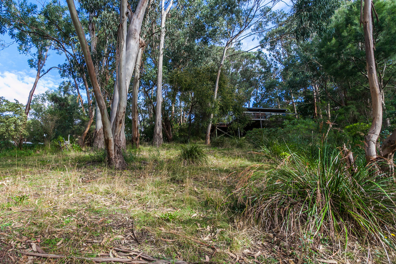 10 Cassidy Drive, Kennett River, VIC, Kennett River - Thumbnail 4