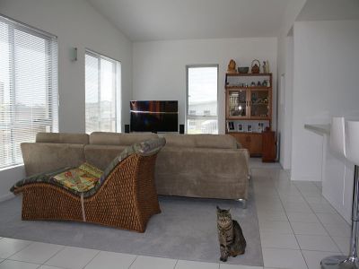 1/124 Shearwater Boulevard, Shearwater, Shearwater - Thumbnail 7