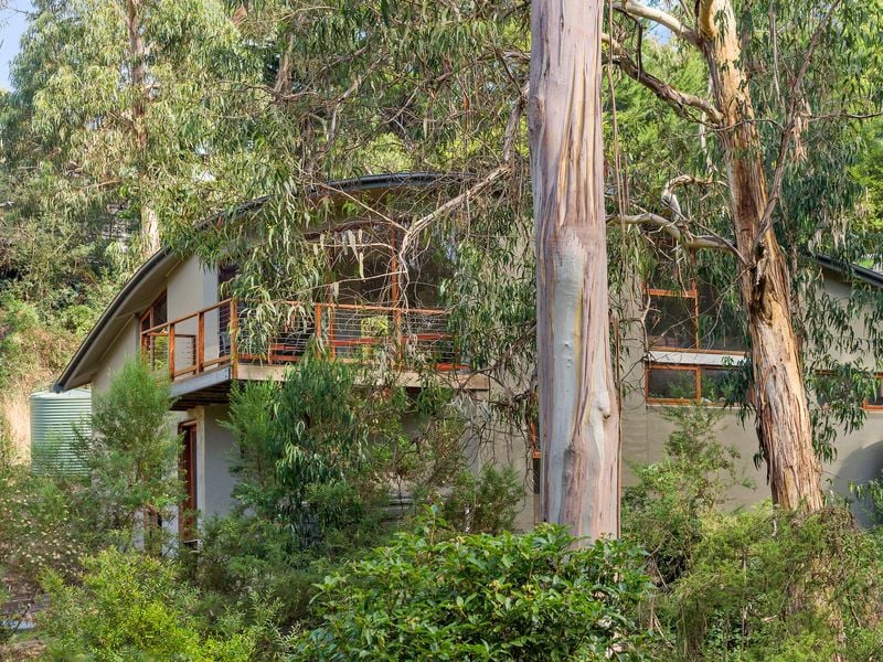 4 Ferny Grove, Kennett River - Thumbnail 5