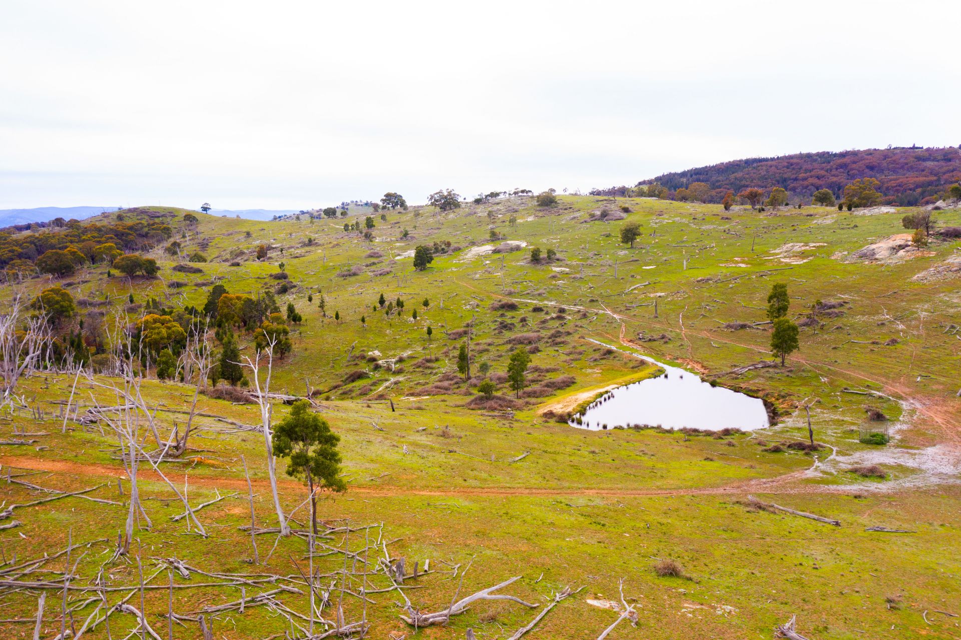 148 Mount Darling Road, Wyangala NSW, Wyangala - Thumbnail 5