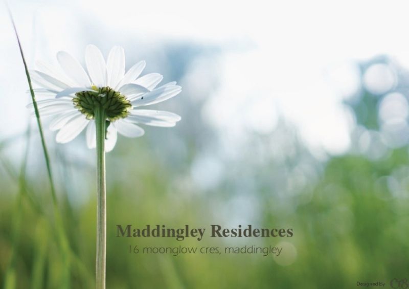 16 Moonglow Crescent, Bacchus Marsh - Thumbnail 3