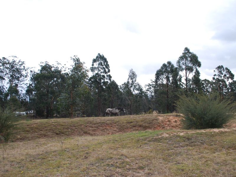 2075 Mt Darragh Road, Wyndham