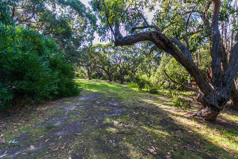 11 Second Avenue, Anglesea, VIC, Anglesea - Thumbnail 8