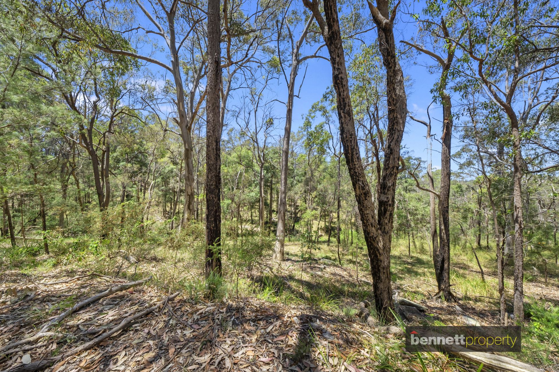 610 Tennyson Road, East Kurrajong - Image 1