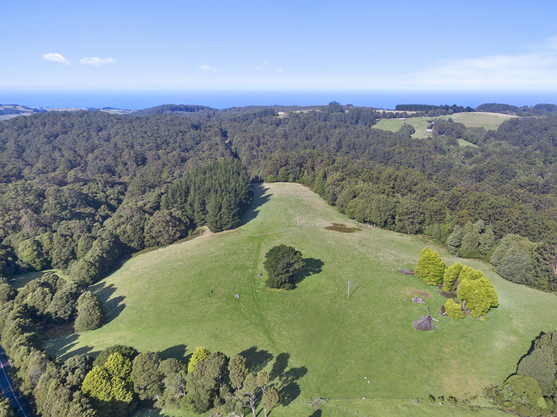 1215 Skenes Creek Road, Apollo Bay - Thumbnail 6