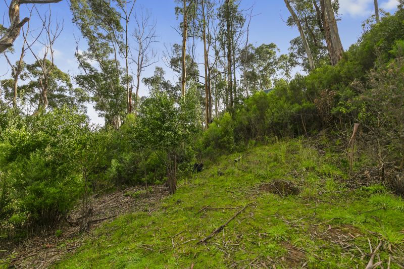 35 Riverside Drive, Wye River, VIC, Wye River - Thumbnail 3