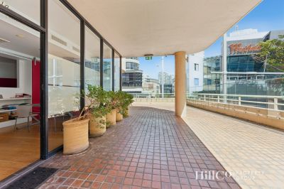 Suite 101/251 Oxford Street, Bondi Junction