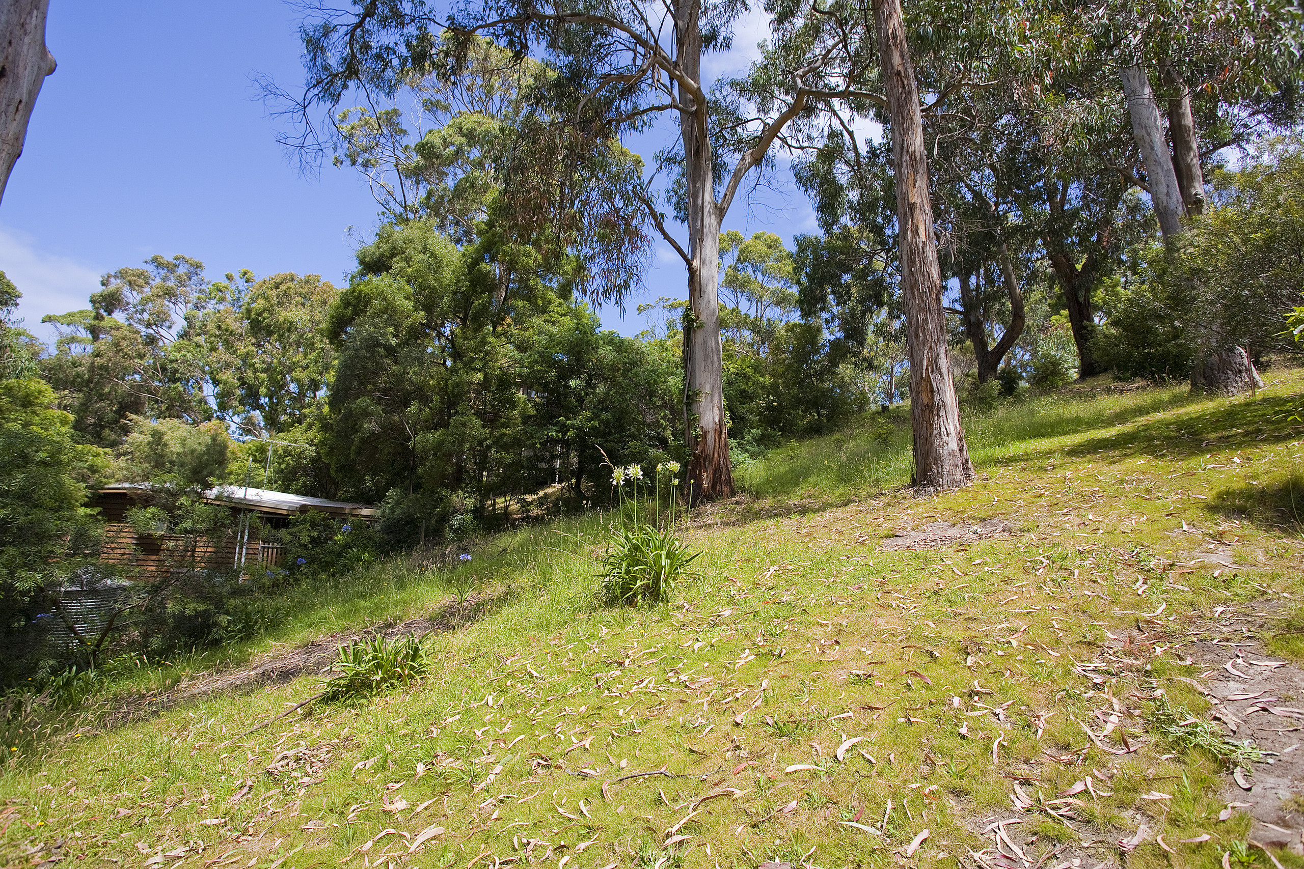 18 Cassidy Drive, Kennett River, VIC, Kennett River - Thumbnail 2