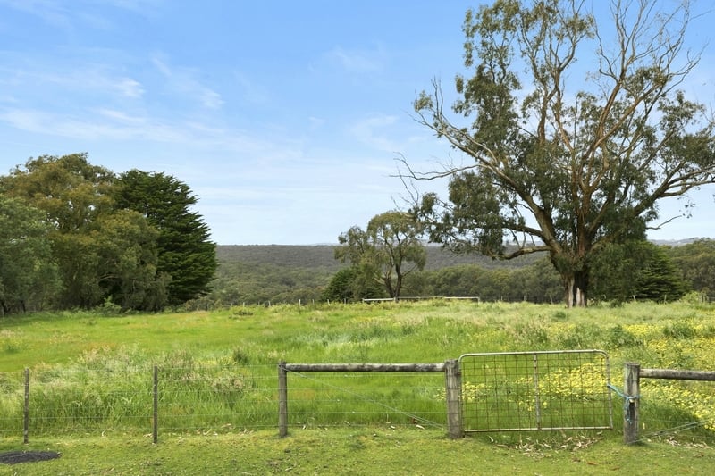 1125 Winchelsea – Deans Marsh Road BAMBRA VIC, Bambra - Thumbnail 5