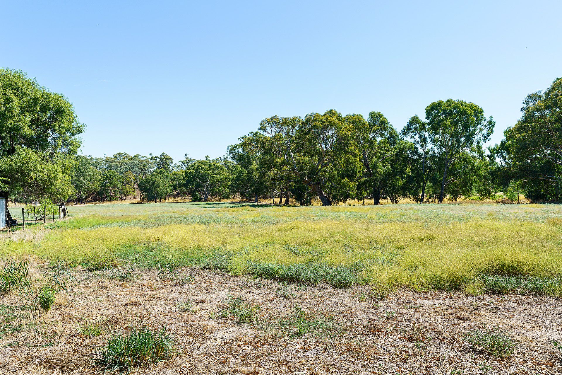 5 Adams Road, Harcourt - Thumbnail 4