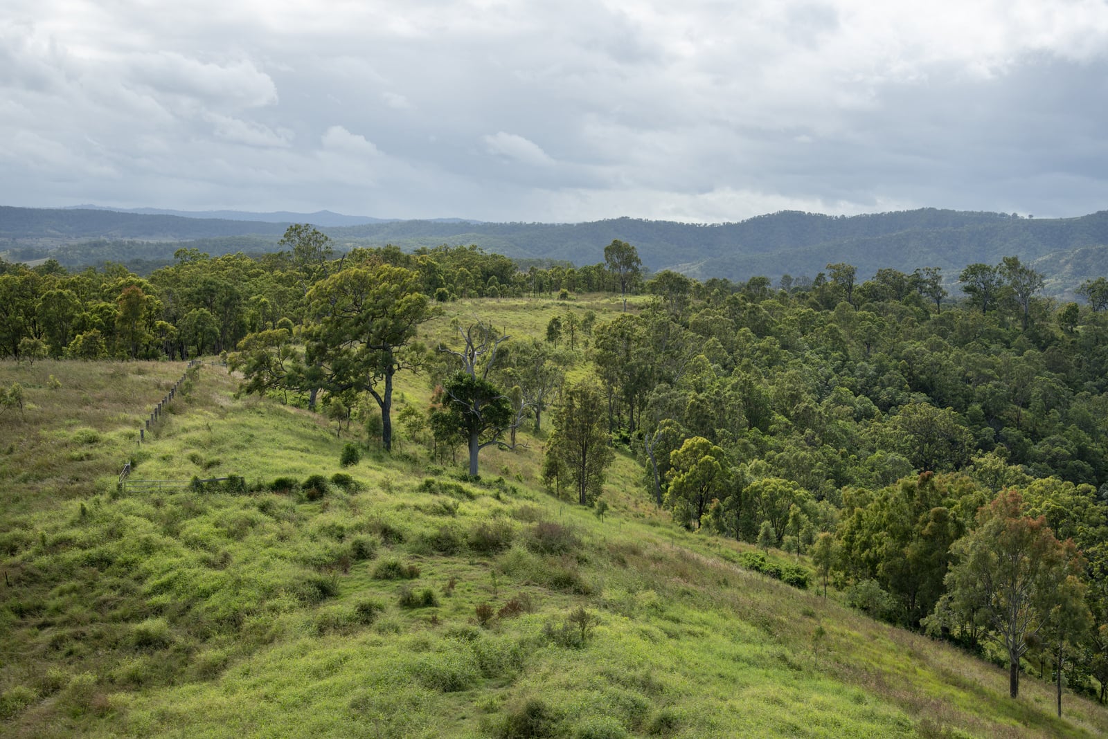 Real Estate For Sale Lot 10 Camp Creek Road Running Creek , QLD