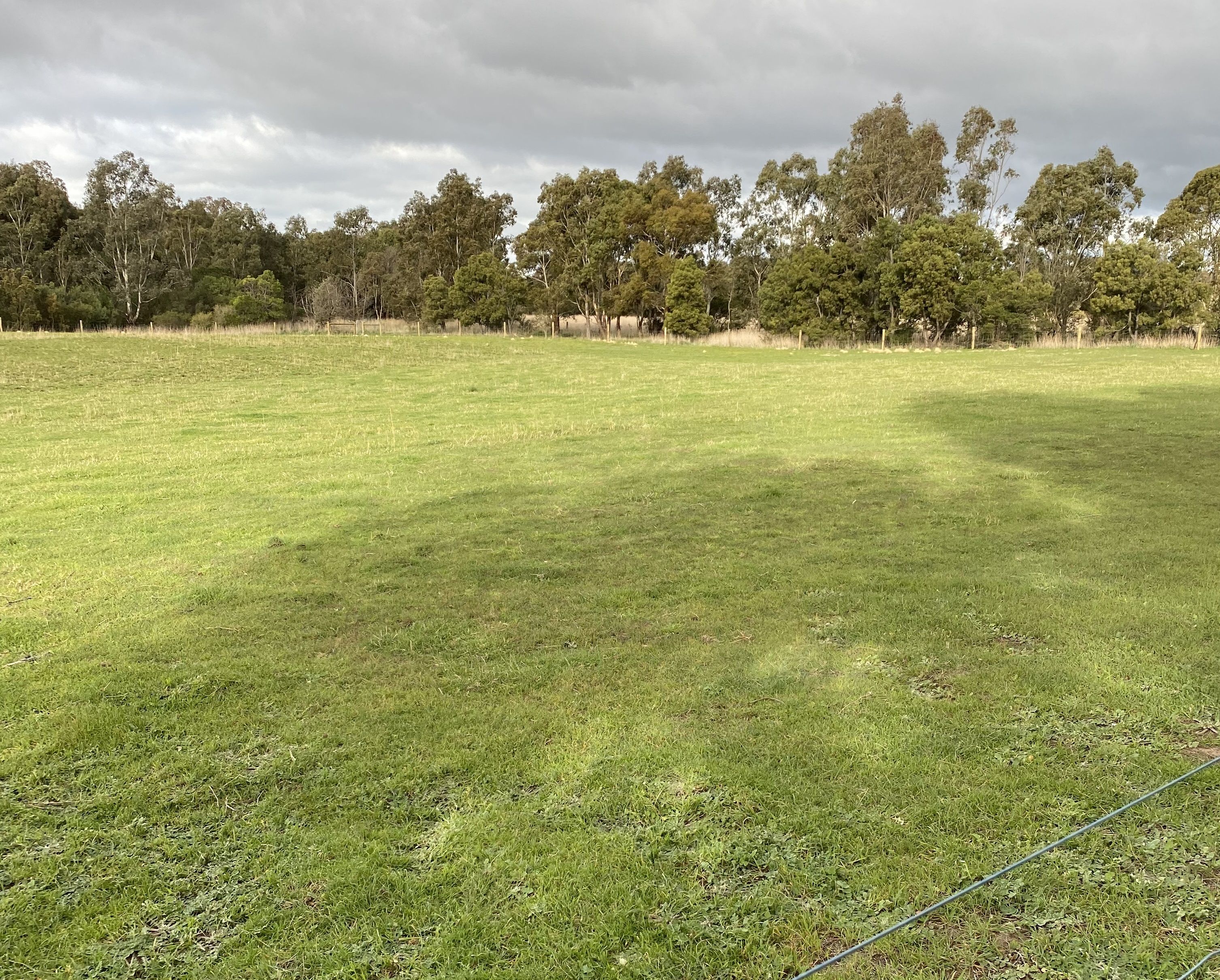 Real Estate For Sale C/A 1/ Saleyard Road Inverleigh , VIC