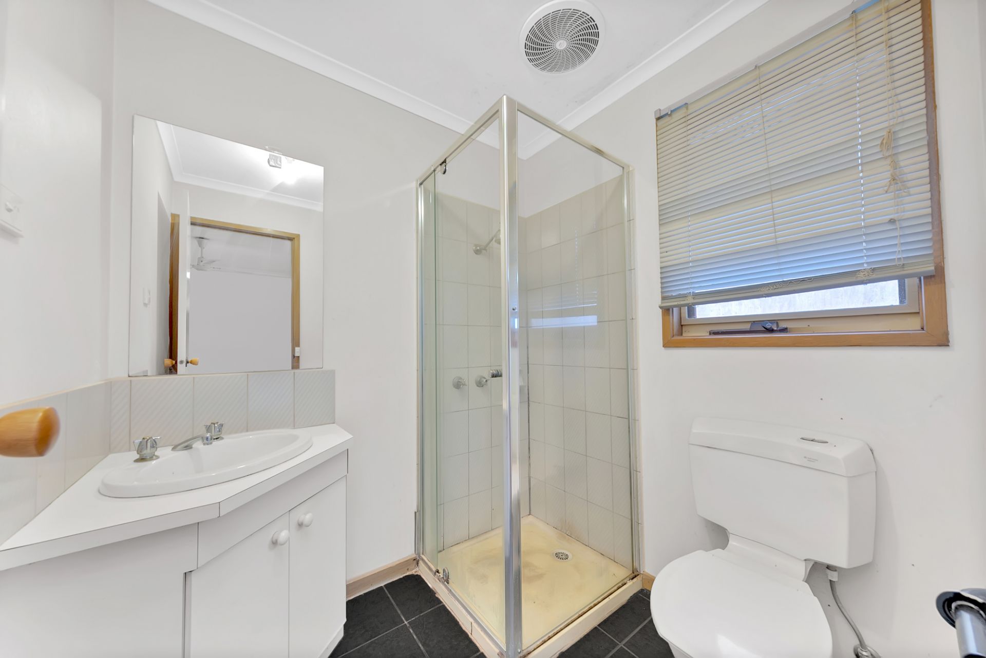 RENOVATORS DELIGHT