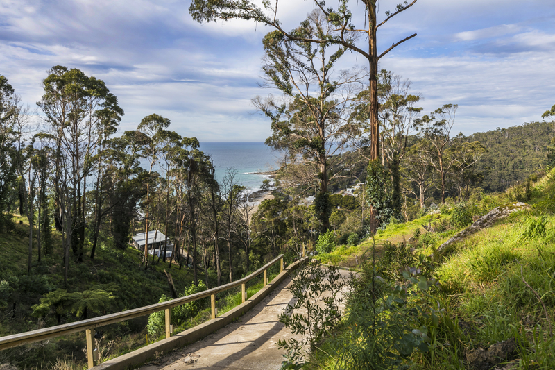 26 Karingal Drive, Wye River, VIC, Wye River - Thumbnail 3
