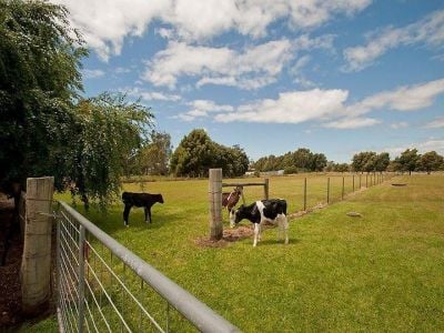 19 Bundarra Drive, SQUEAKING POINT, Squeaking Point - Thumbnail 5