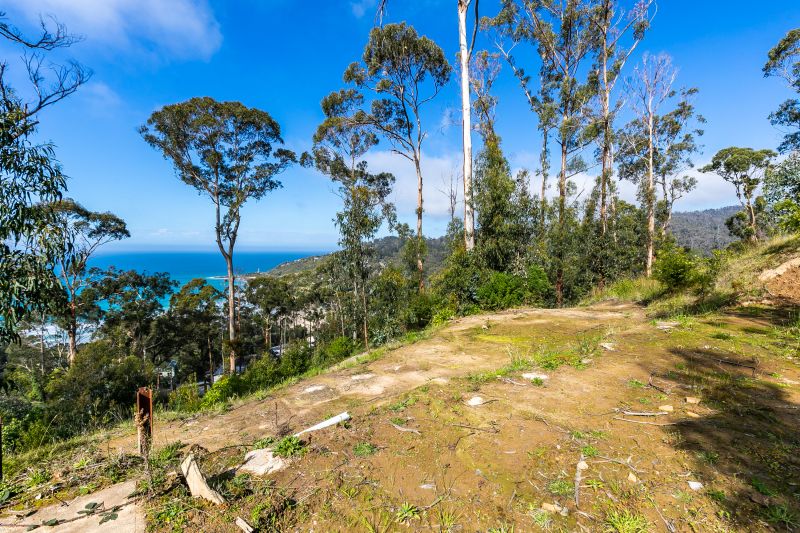 13 Koonya Avenue, Wye River, VIC, Wye River - Thumbnail 3