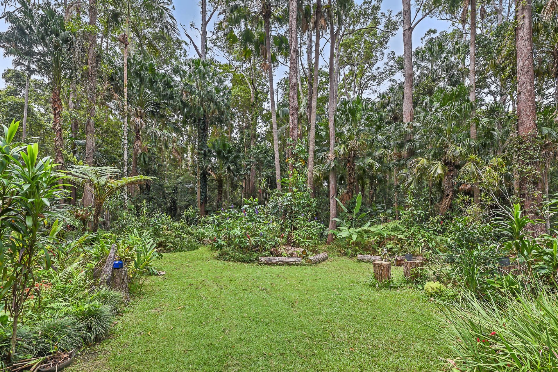 271 Mcgilchrist Road Palmwoods QLD, Palmwoods - Thumbnail 5
