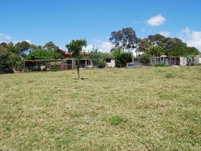 232 Bald Hills Road, Bald Hills