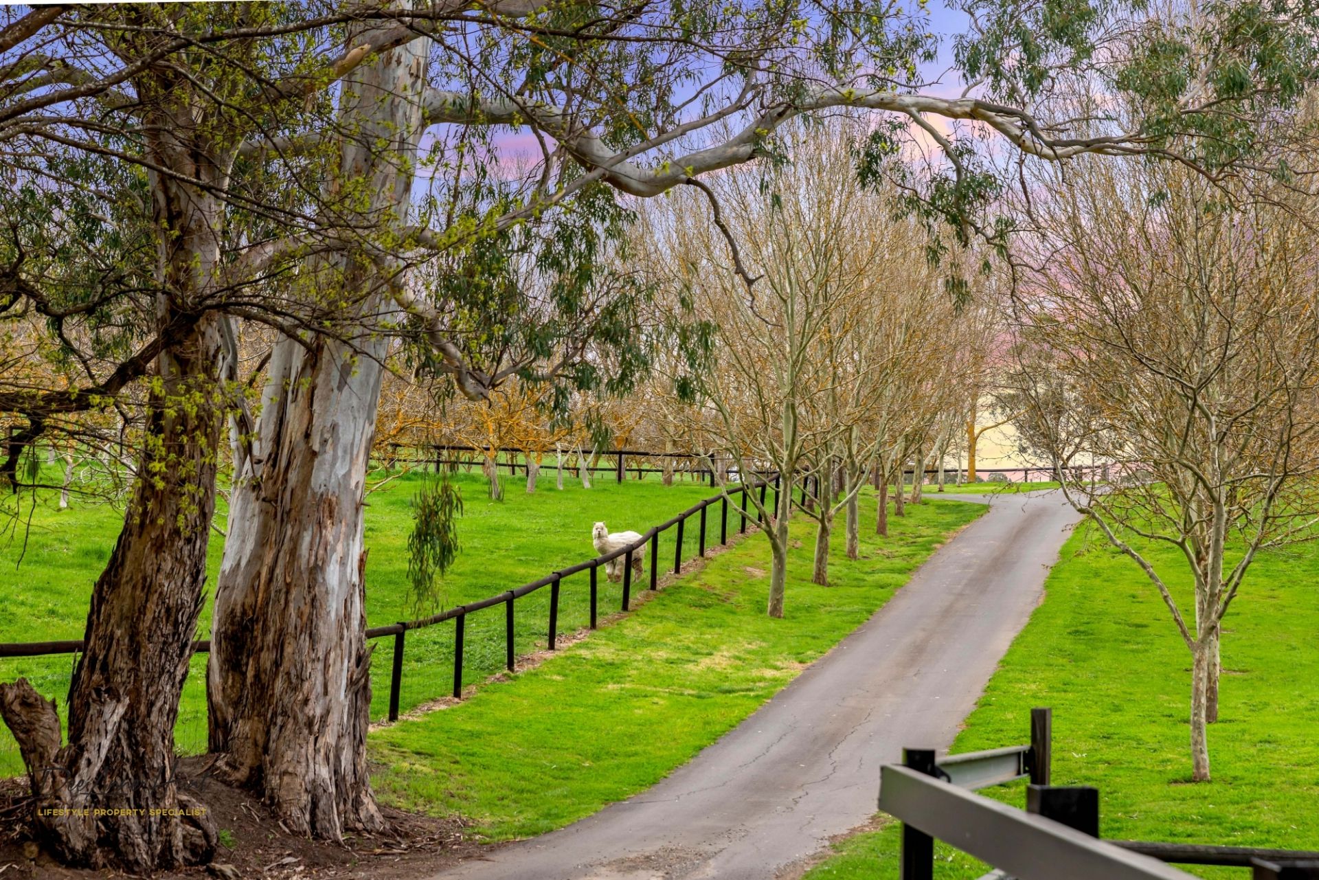 441 Springs Road, Mount Barker Springs Williams Real Estate