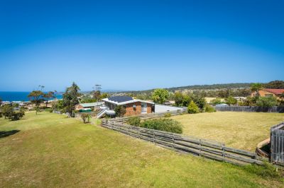 Buy before its too late