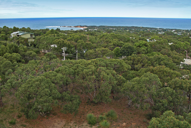 39 and 41  Second Avenue , Anglesea, VIC, Anglesea - Thumbnail 5
