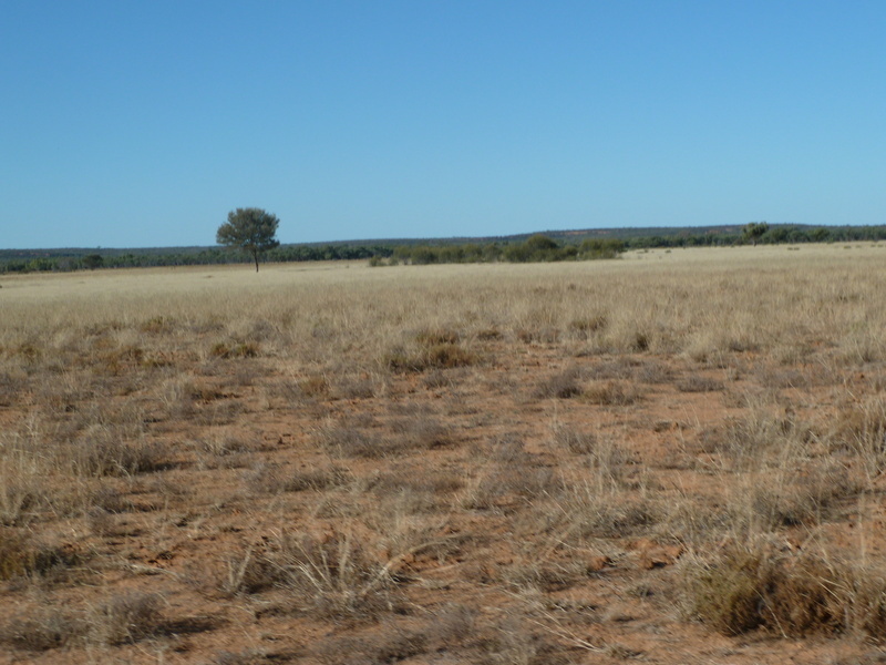 For Sale By Owner Quilpie QLD 4480 446 Nickavilla Road