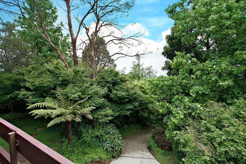 2 Nina Place, Kurrajong Heights - Thumbnail 3