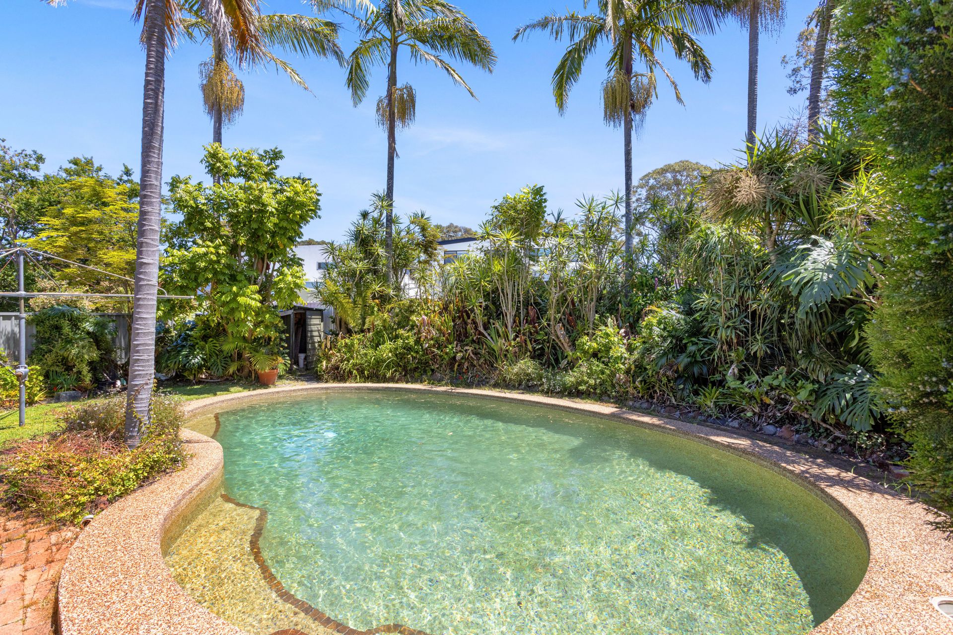 9 Frederick Street, Miranda, Miranda - Thumbnail 4