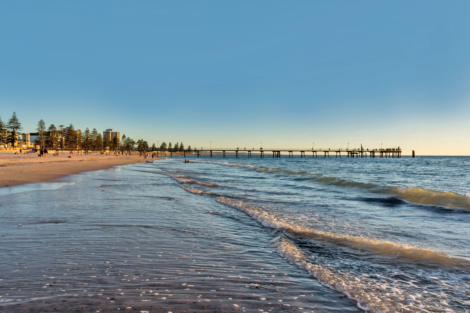 13 & 13A Saltram Road, Glenelg - Thumbnail 4