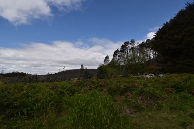459 South Nietta Road, Nietta, Nietta - Thumbnail 2