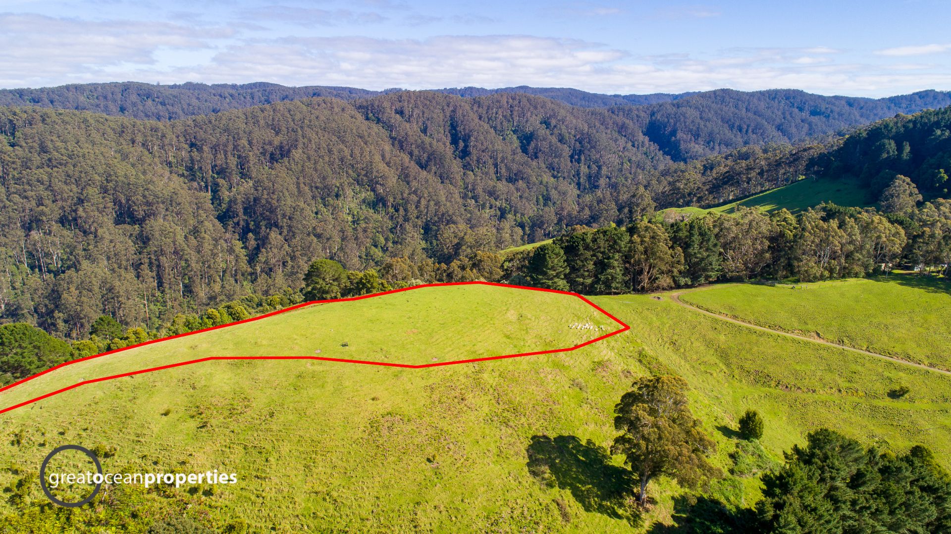 788 Wild Dog Road, Apollo Bay - Thumbnail 6