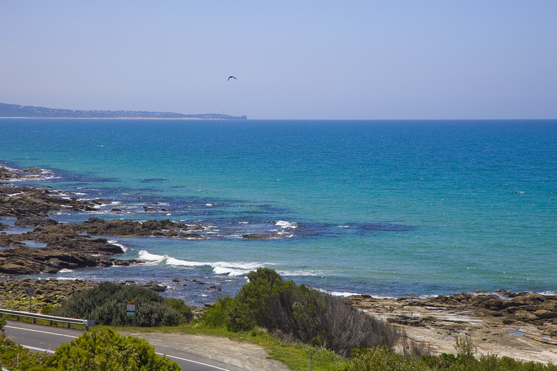 81 Hall Street, Lorne, VIC, Lorne - Thumbnail 6