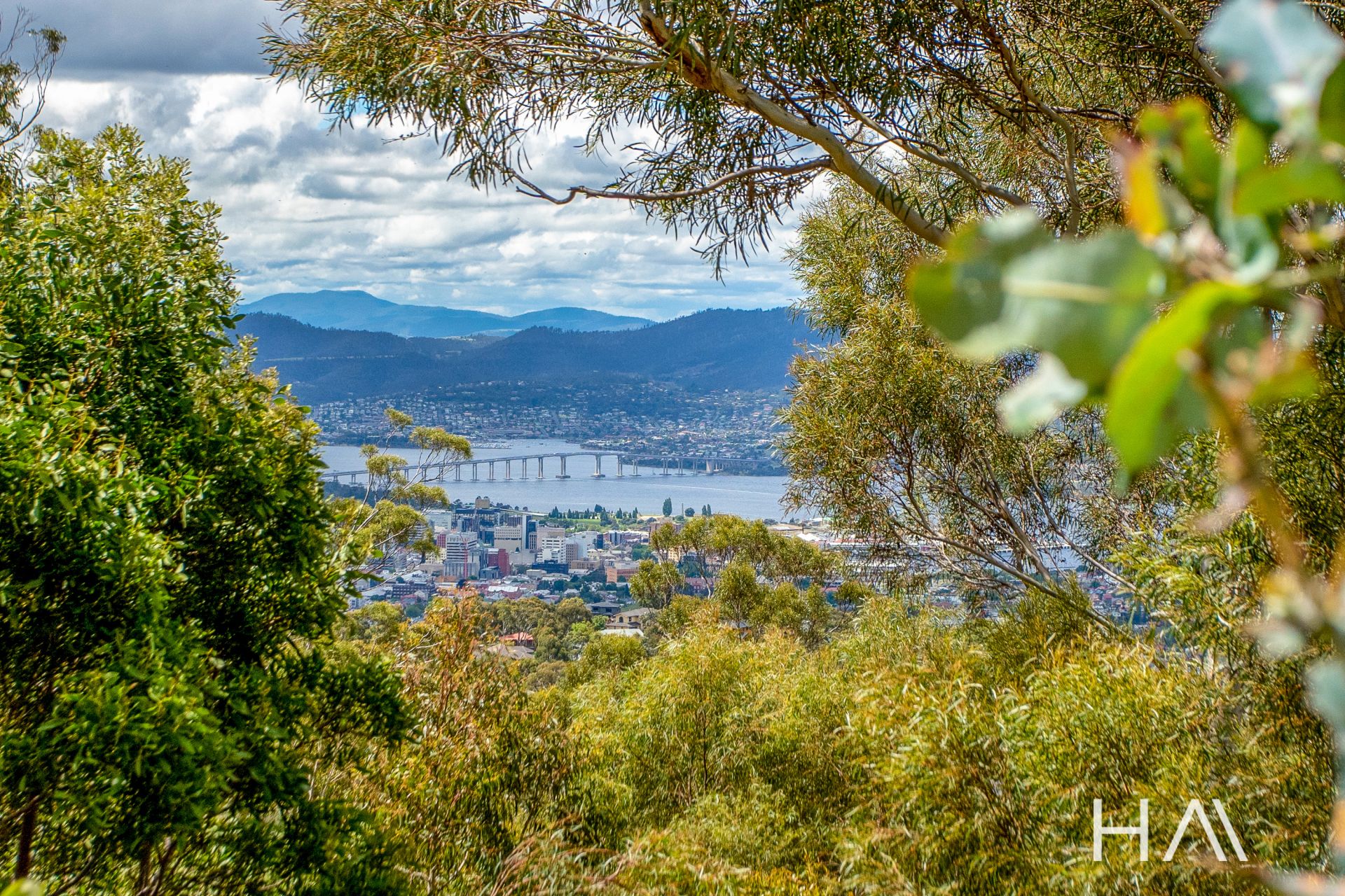 31 Hillcrest Road, Tolmans Hill Harrison Agents