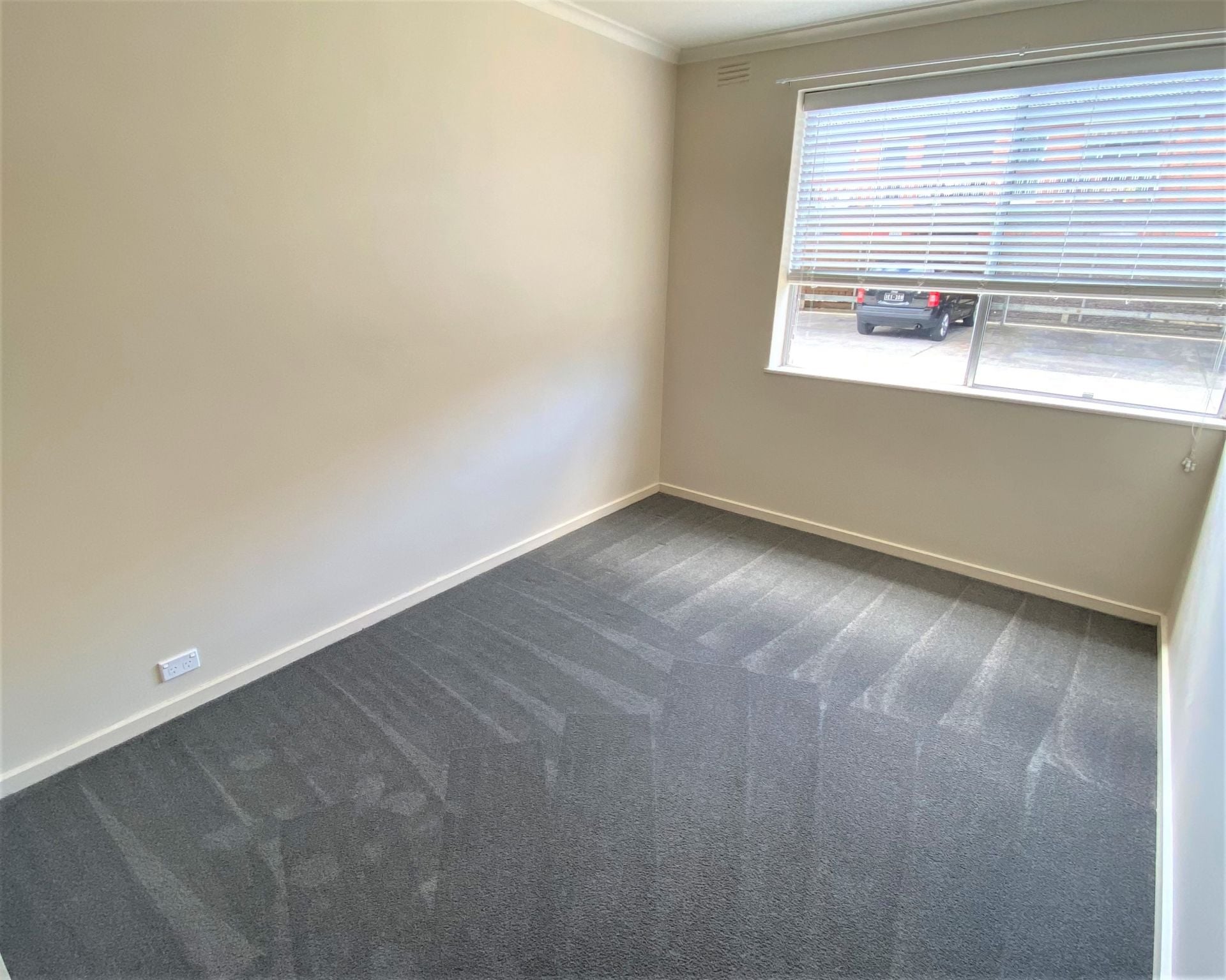 Bright, Renovated Apartment!