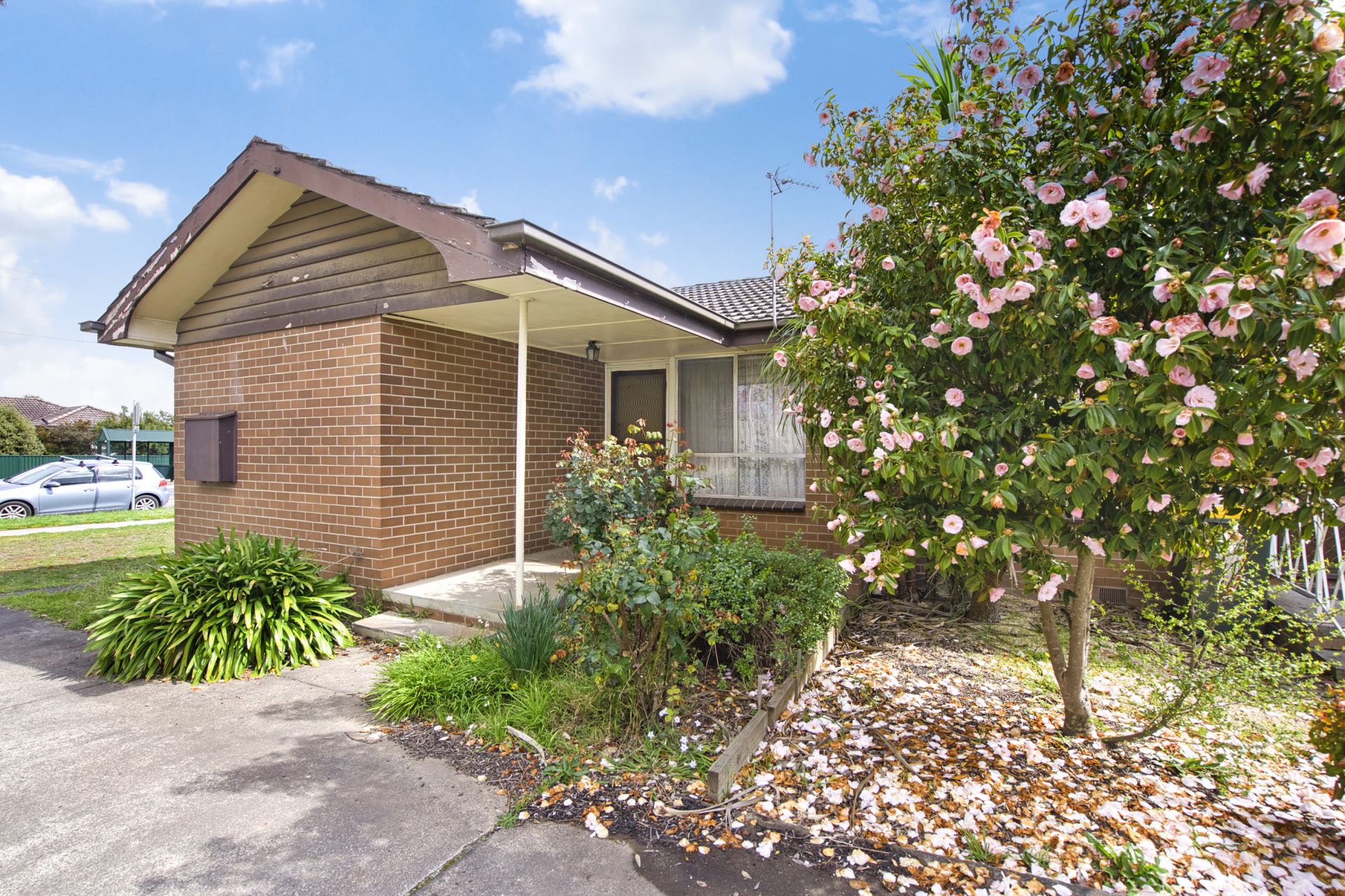 3/50 Cuthberts Road, Alfredton, Alfredton, Alfredton - Thumbnail 3