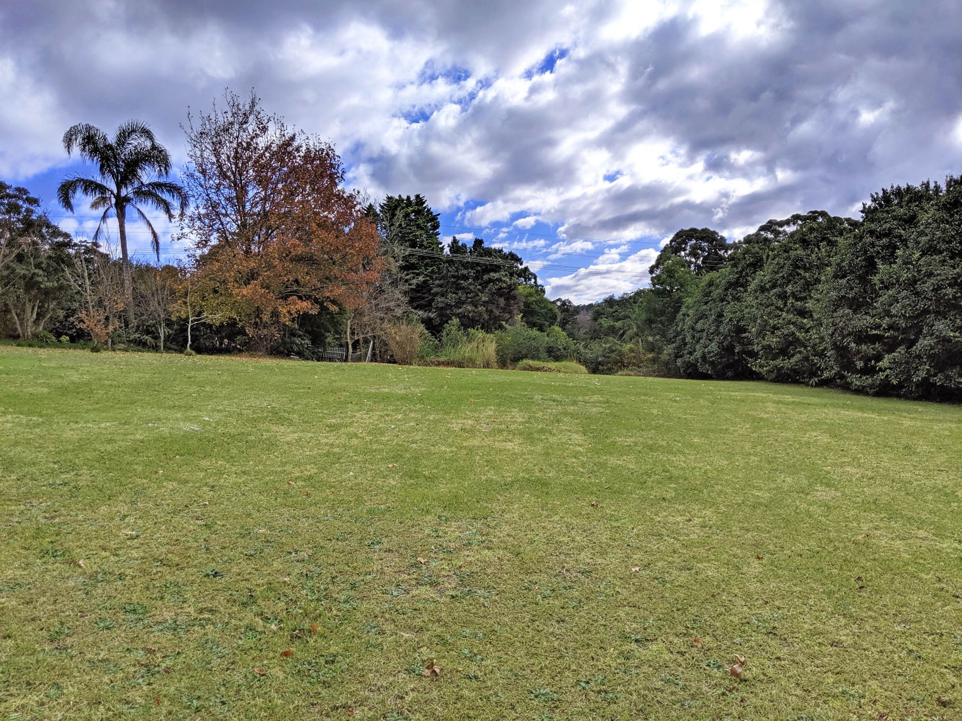 10 Douglas Road, Kurrajong Heights - Thumbnail 3