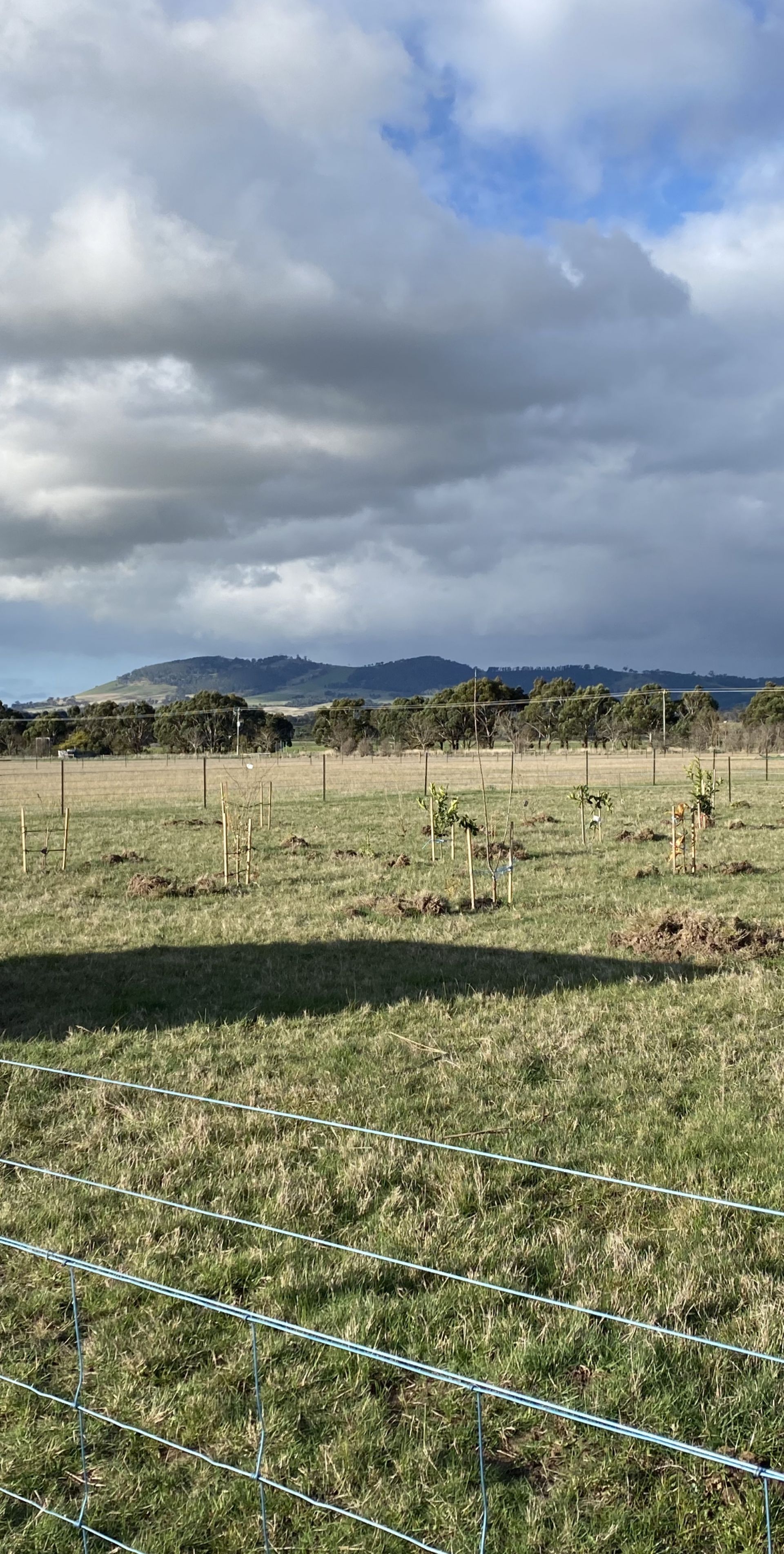 Lot 43 Lancefield-Tooborac Road, Lancefield - Thumbnail 3