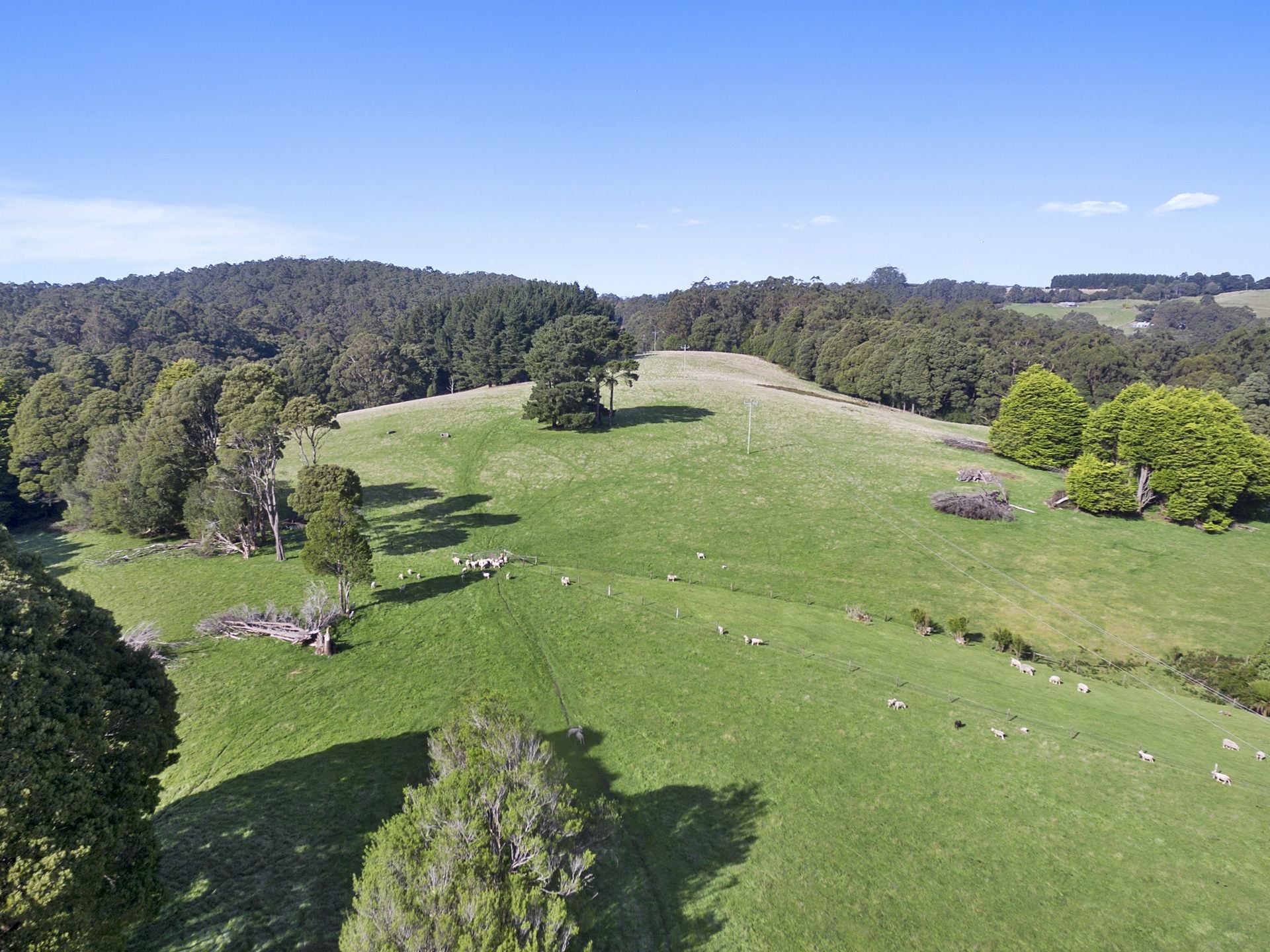 1215 Skenes Creek Road, Apollo Bay - Thumbnail 7