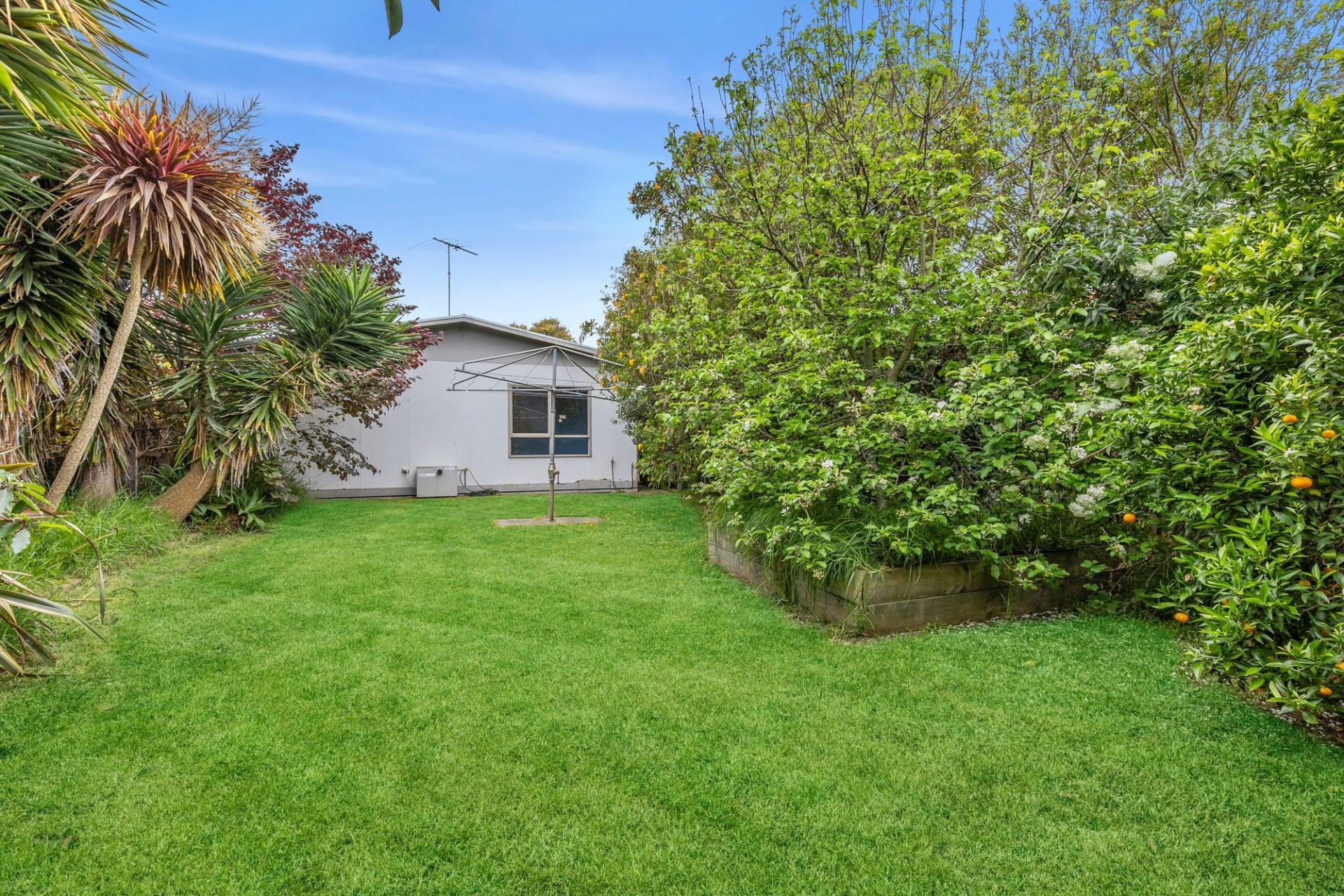 19 Platypus Court Ocean Grove VIC, Ocean Grove - Thumbnail 5