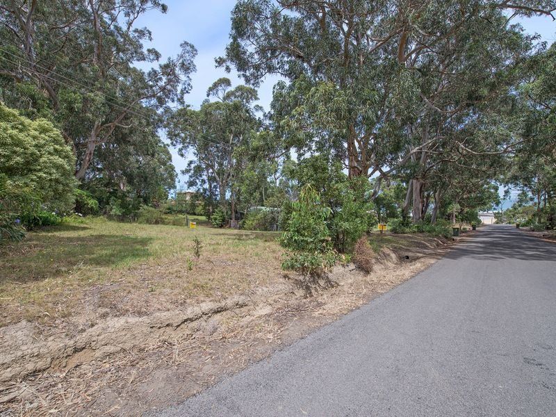36 Old Coach Road, Skenes Creek, VIC, Skenes Creek - Thumbnail 3