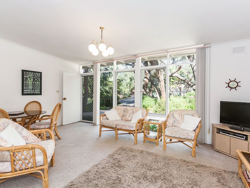 49 Fraser Avenue, Anglesea - Thumbnail 5