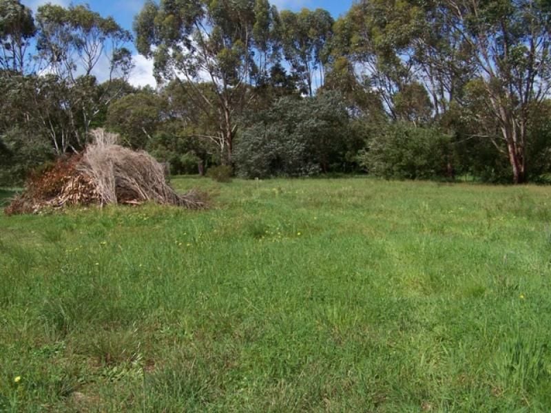 Lot 21 Blackwood Road MILLICENT SA, Millicent - Thumbnail 2