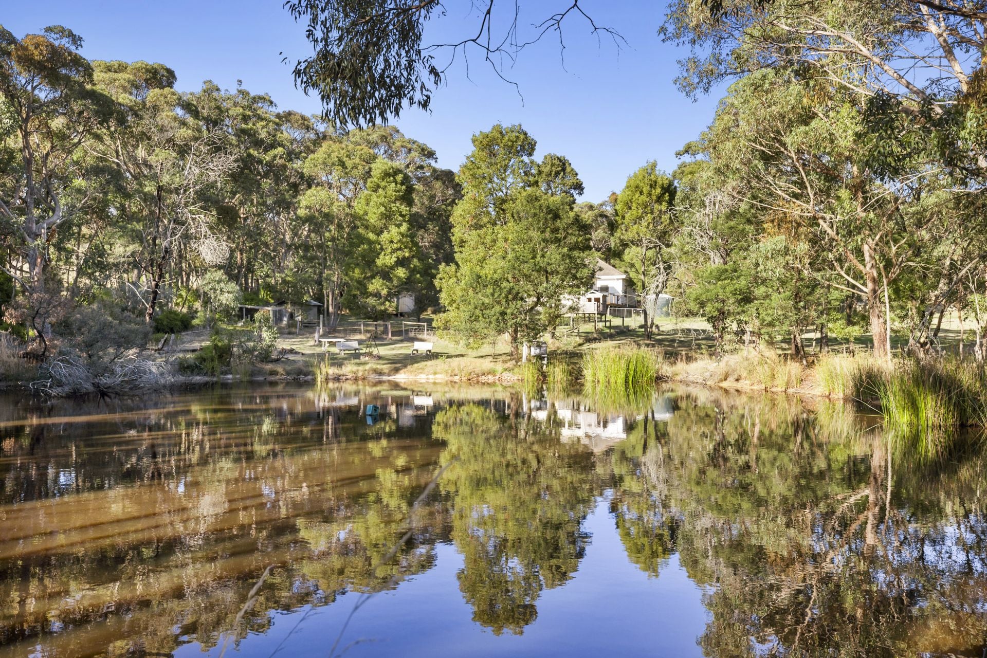 49 Skirkas Road, Buninyong, Buninyong - Thumbnail 4