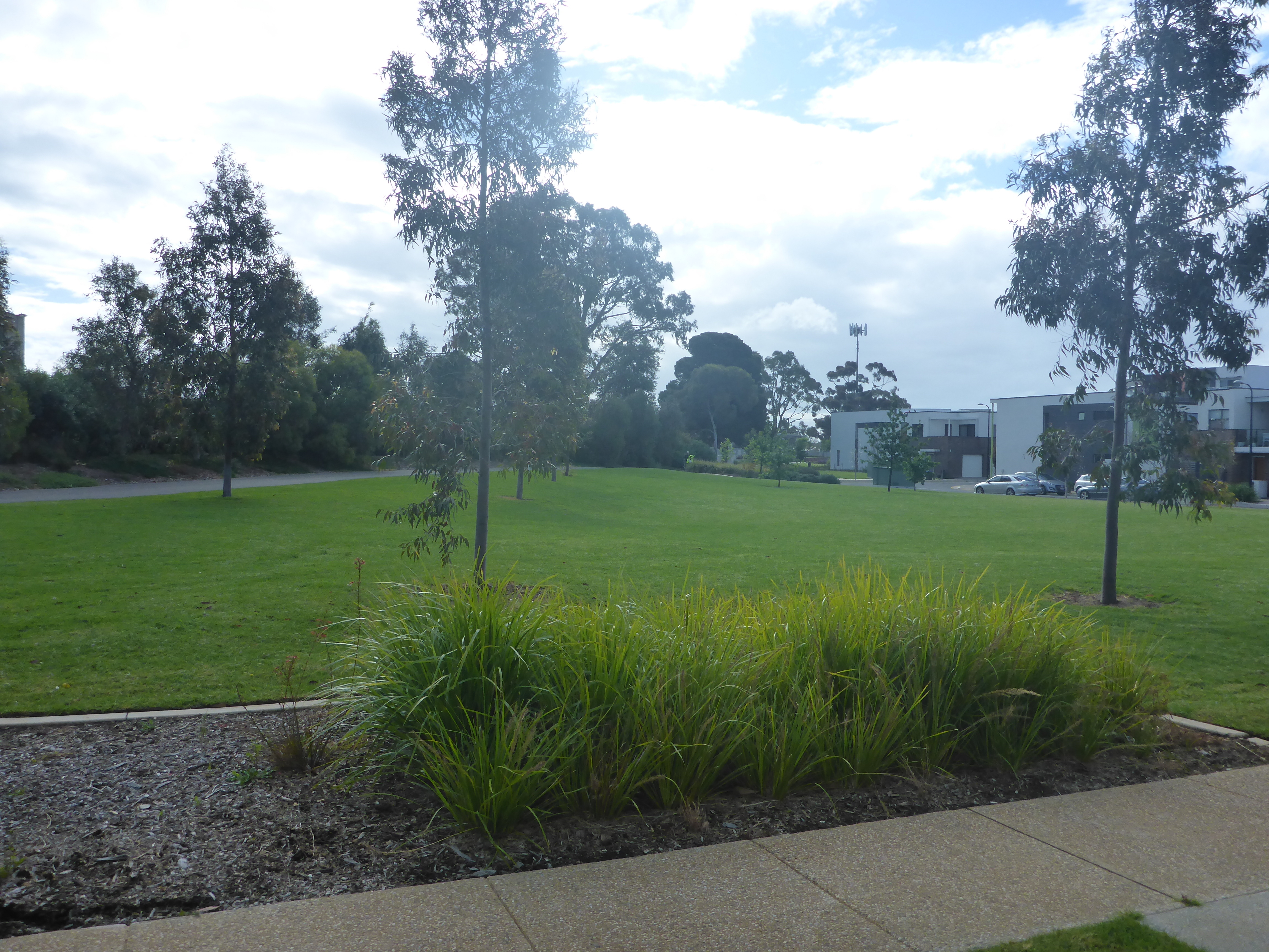 12 Apprentice Street St Clair 5011
