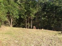 31 Cicada Close BUDERIM QLD, Buderim - Thumbnail 7