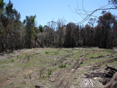 15 Woodland Rise, Northdown, Northdown - Thumbnail 2