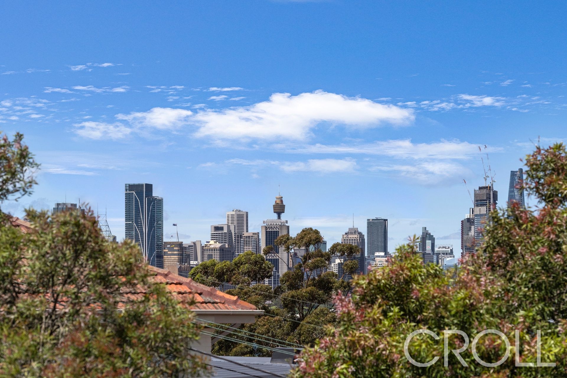 10 Tunks Street WAVERTON NSW, Waverton - Thumbnail 7